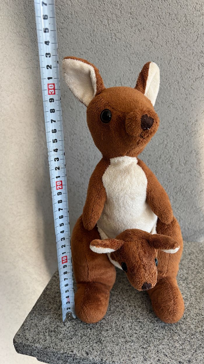 Kangourou avec bébé - photo numéro 6