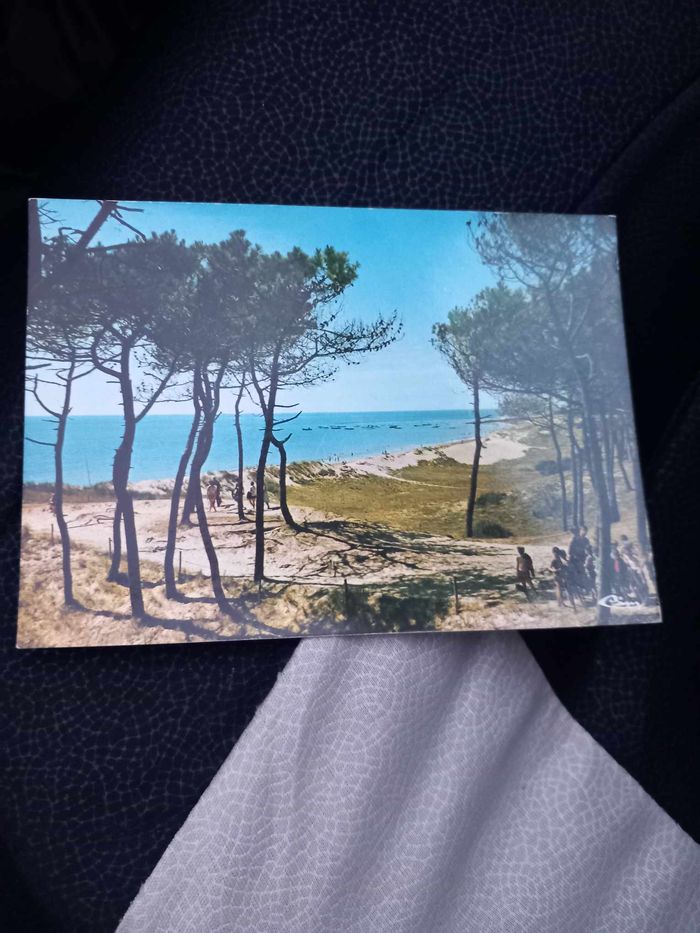 Carte postale de l'île de Noirmoutier - photo numéro 1