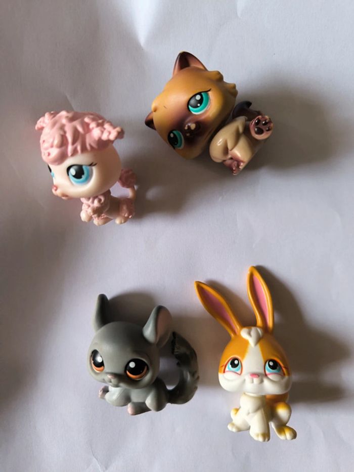 PetShop avec aimant - photo numéro 5