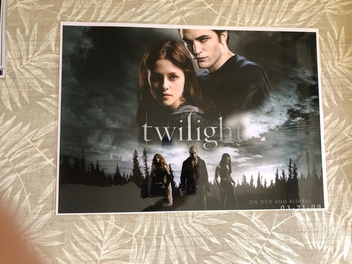 Affiches twilight - photo numéro 5