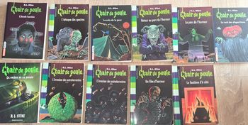 Lot de 11 livres chair de poule