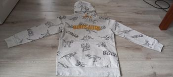 Pull dinosaures gemo 10 ans