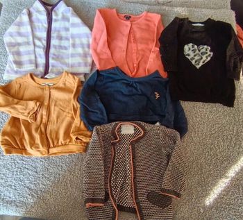 Lot gilets + 1 pulls 