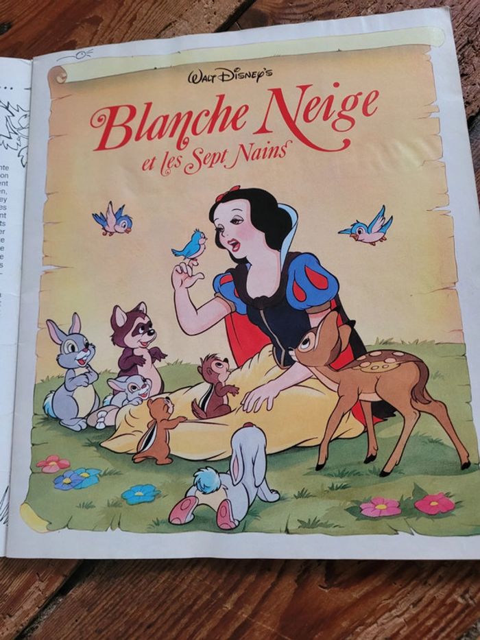 RARE Album complet Panini Blanche Neige Snow white Disney autocollants collection - photo numéro 2