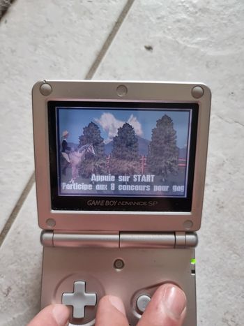 Barbie horse adventure the big race