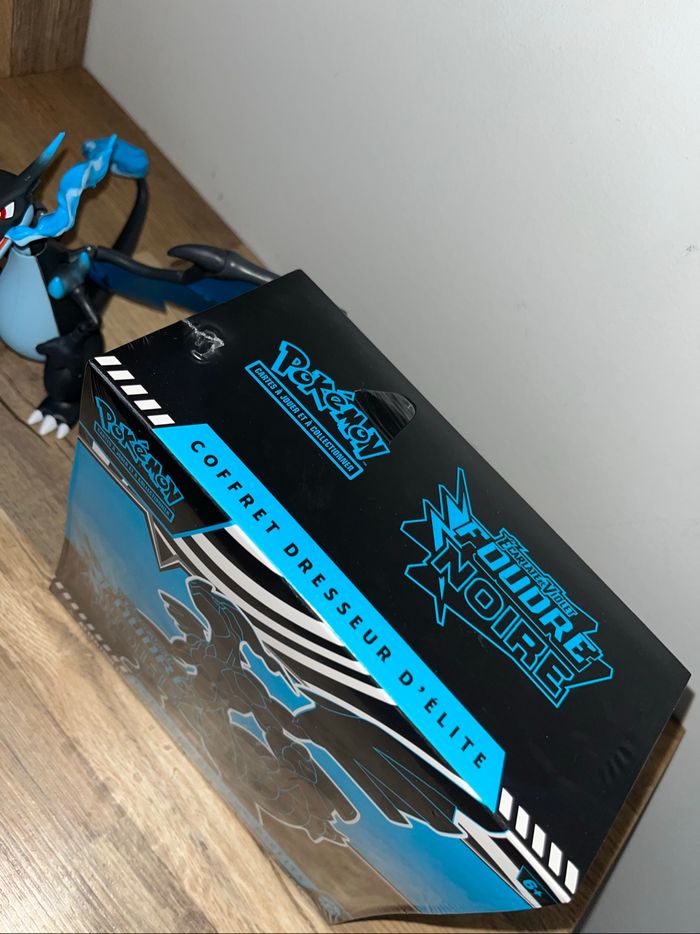 Etb 10.5 foudre noire avec défaut de scellage - photo numéro 3
