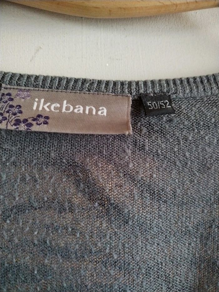 Pull léger ( 50) - photo numéro 2