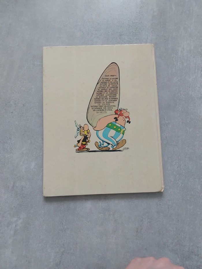 Asterix et le chaudron - photo numéro 3