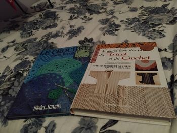 Lots de livres  crochet