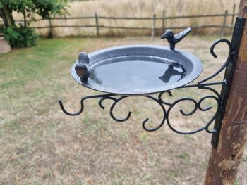 Mangeoire à oiseaux