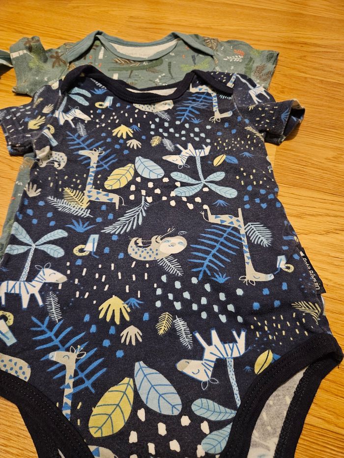 Lot bodies - photo numéro 4