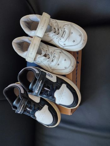 Lot baskets Champion 33