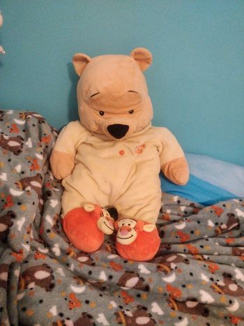 Peluche Winnie 40 50 cm