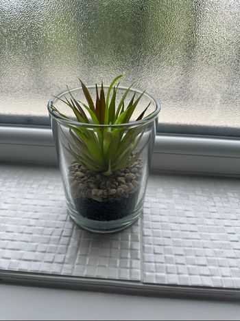Plante artificielle sous verre