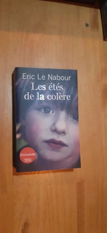 Roman les étés de la colère