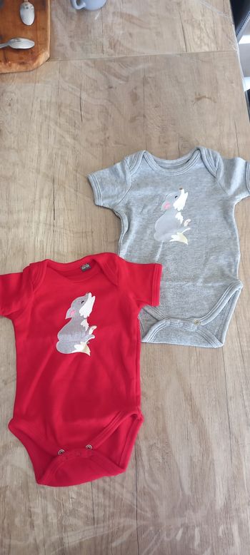 Lots bodies manches courtes