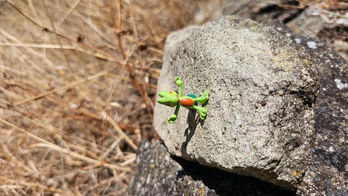 Super petite figurine Pokemon Nintendo Arcko - photo numéro 2