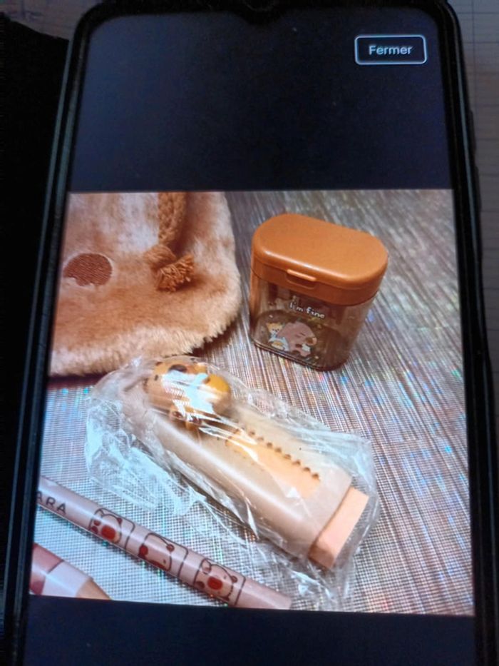 Ballotin Capybara et ses accessoires - photo numéro 3