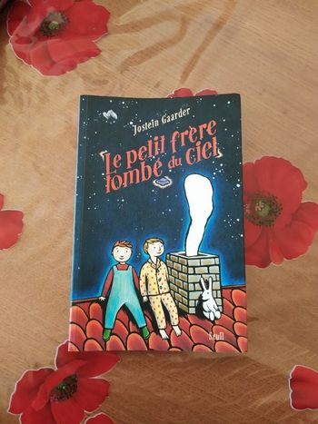Livre enfant "Le petit frère tombé du ciel" de Jostein Gaarder