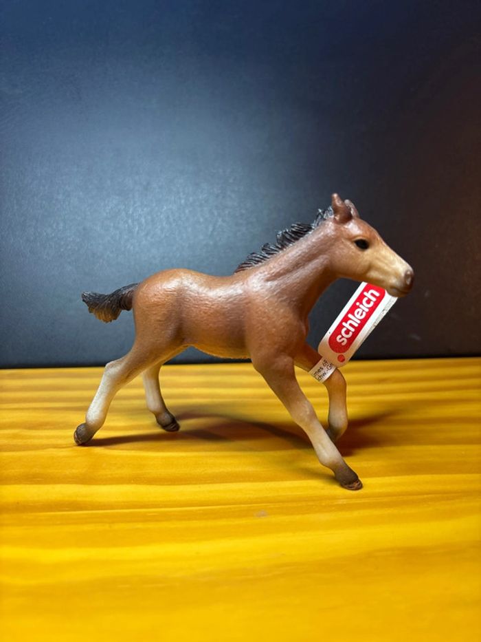Poulain Mustang