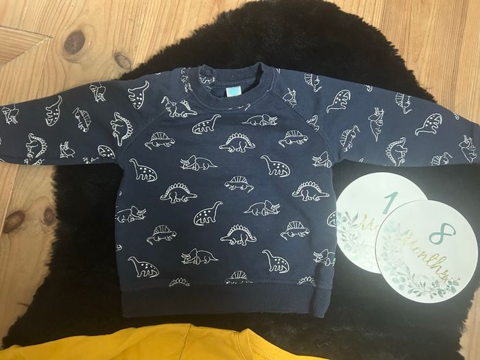 2 pulls - photo numéro 5