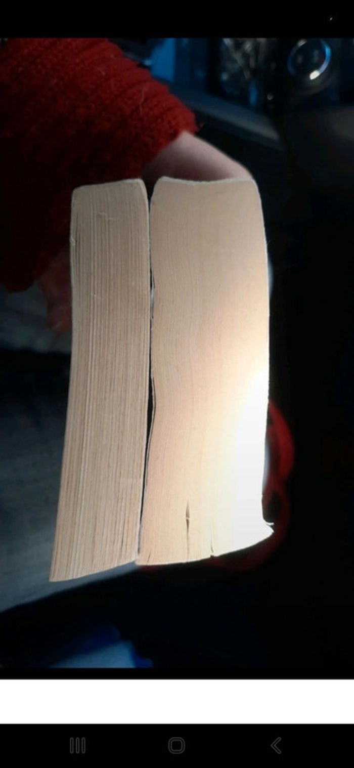 Lot 2 livres policier - photo numéro 4