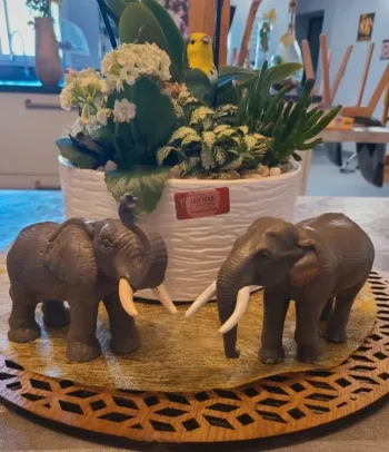 Lot de 2 éléphants schleich