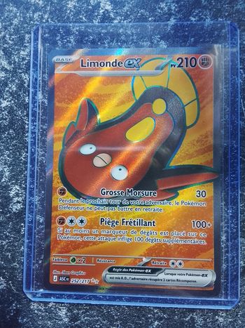 Carte de Pokémon français 