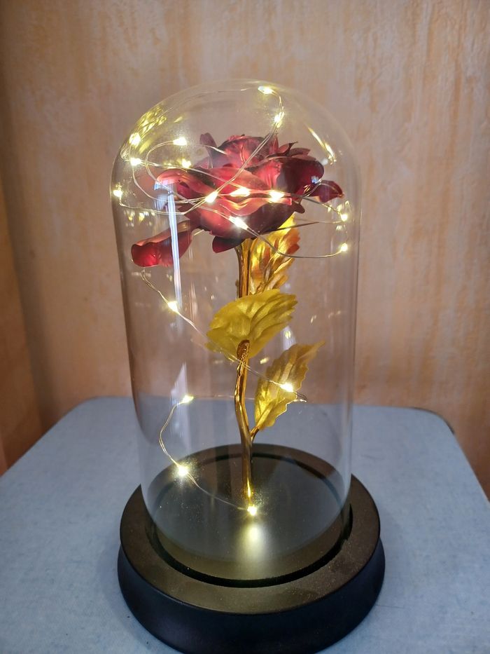 Rose sous cloche Gifi - photo numéro 3