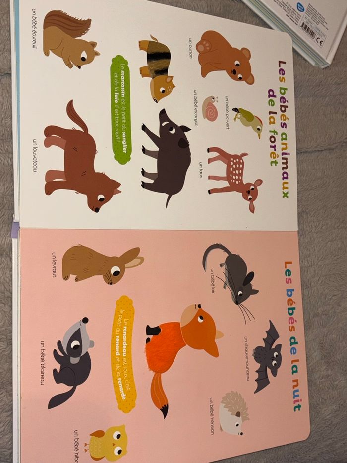 Lots 3 livres à toucher - photo numéro 10