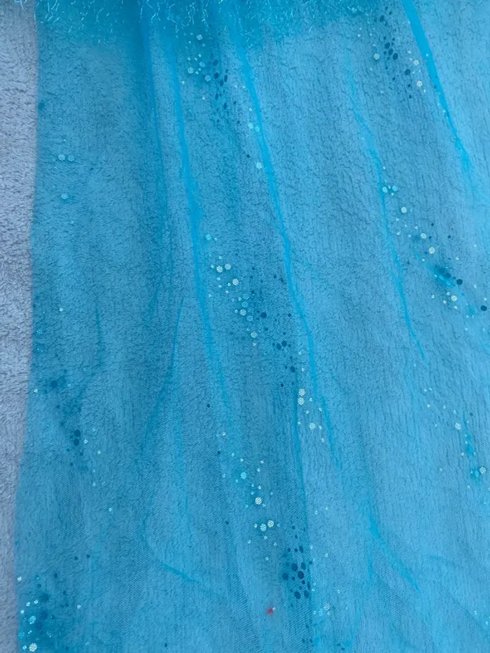 Déguisement Elsa reine des neiges carnaval fête - photo numéro 5