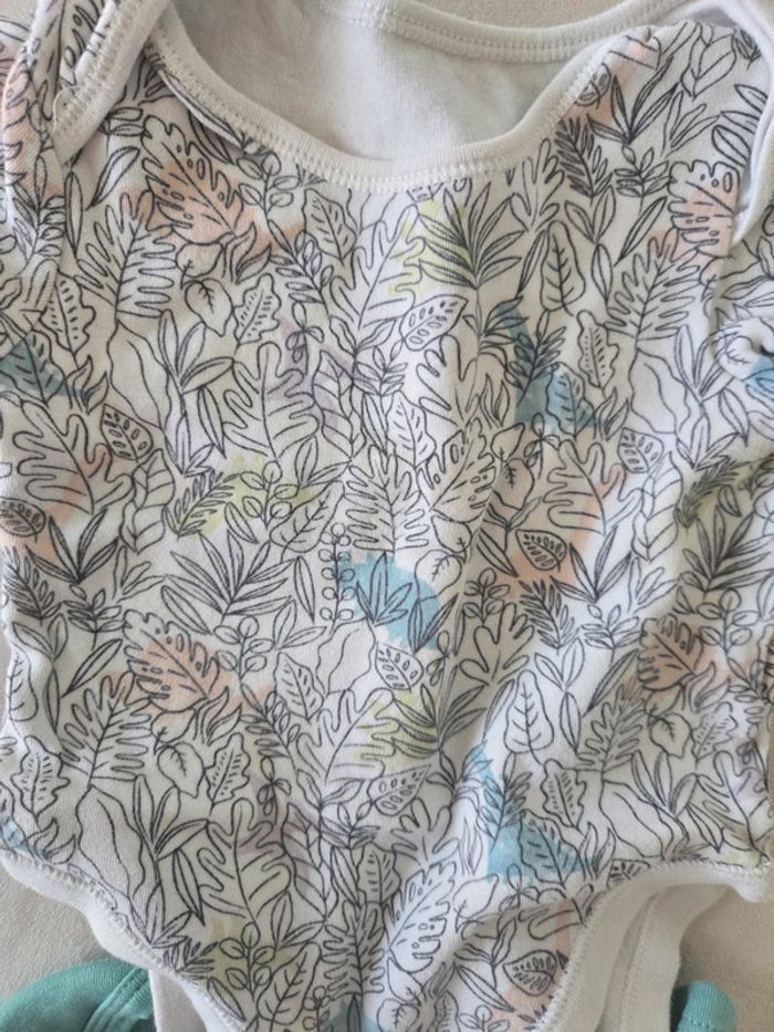 Lot de bodys MC 9 mois - photo numéro 3