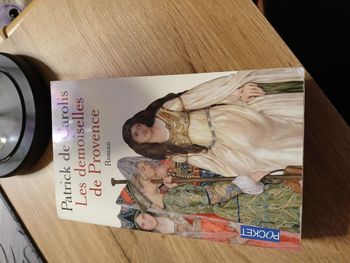 LIVRE LES DEMOISELLES DE PROVENCES DE PAYRICK DE CAROLIS