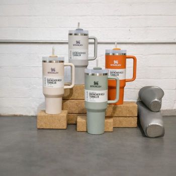 Lot de 4 Gourdes isotherme Stanley - coloris au choix 