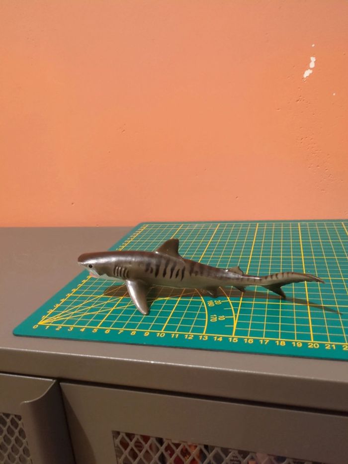 Requin Safari - photo numéro 2