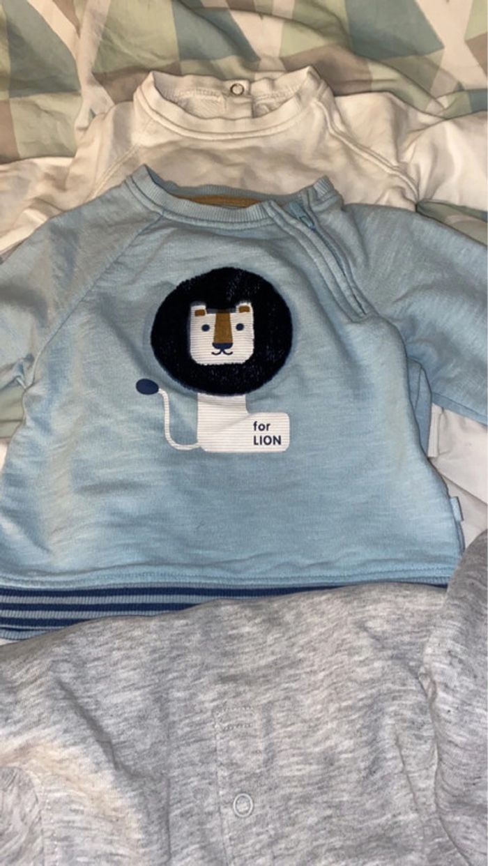 Lot pulls - photo numéro 3