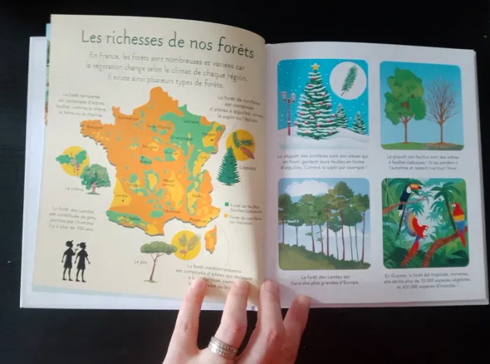 Livre enfant - La petite imagerie - Les travaux de la forêt - photo numéro 5