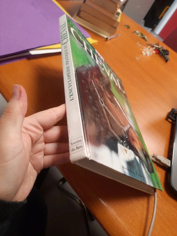 Cheval - photo numéro 2