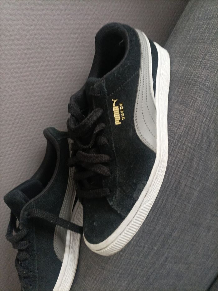 Puma - photo numéro 2