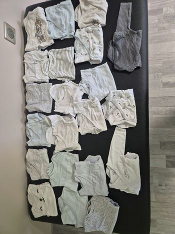 Lot de 21 bodies manches longues 3mois