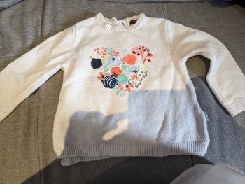 Joli Pull