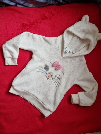 Pull à capuche fille 6ans Disney