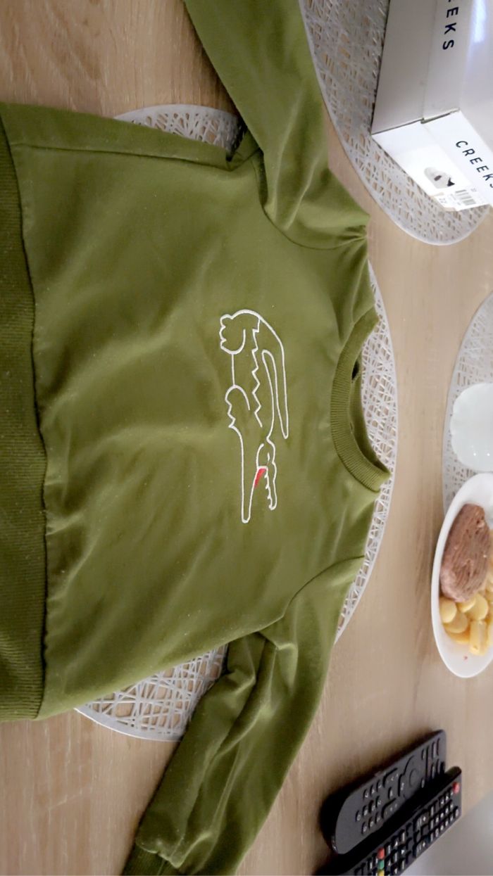 Ensemble jogging + pull garçon taille 18 - 24 M