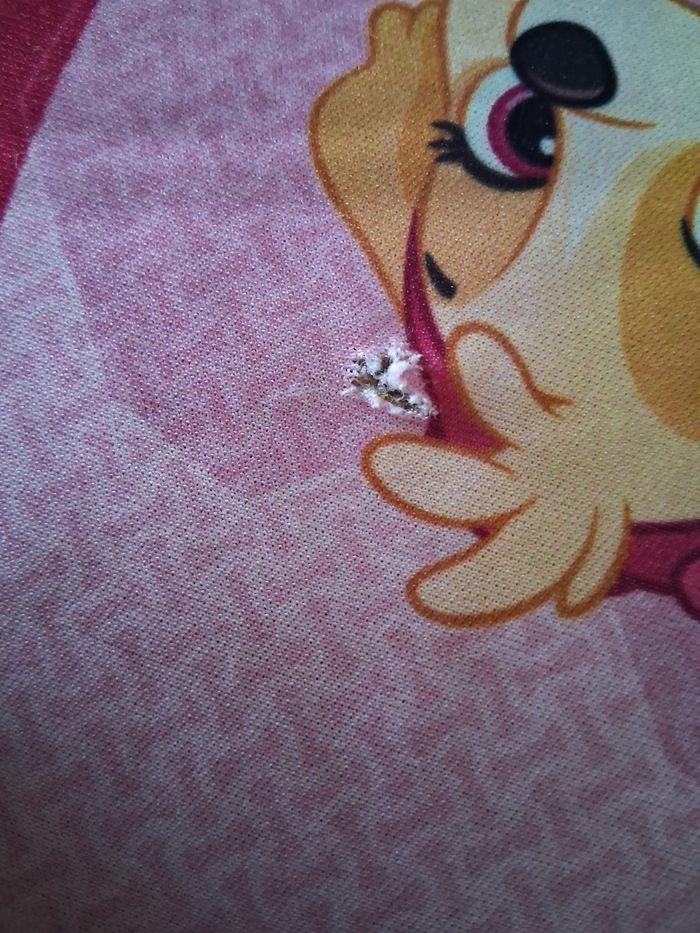 Rehausser pat patrouille - photo numéro 9