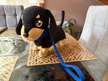 Petit peluche avec laisse