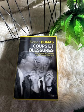 Livre Coups et Blessures - Dumas