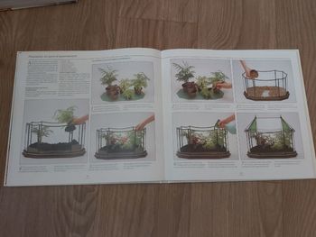 Plantes d'intérieur