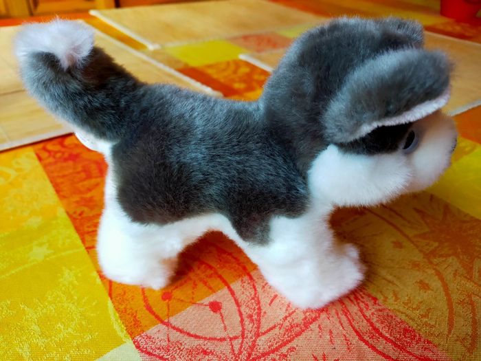 Peluche chien - photo numéro 2