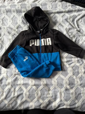 Ensemble puma