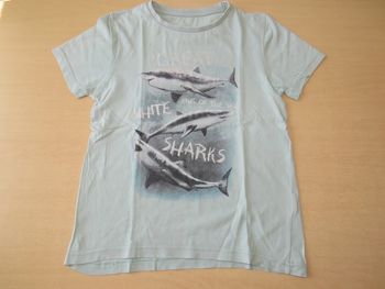 t-shirt requins 10 ans